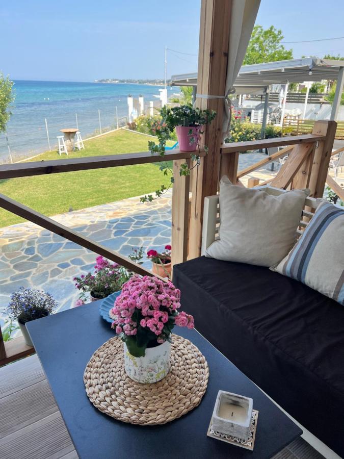 Beachfront Villa Athina Vergia Екстериор снимка
