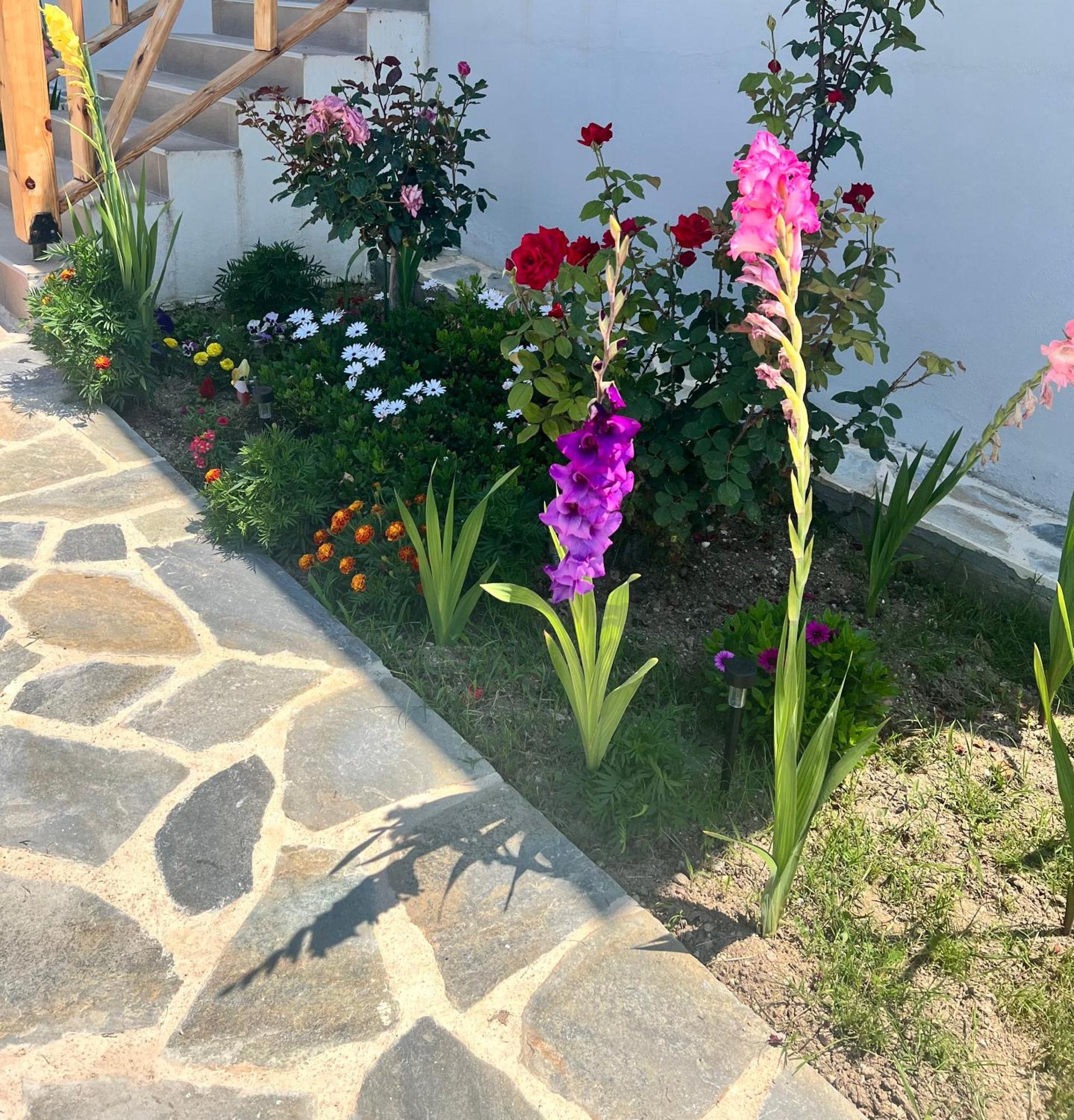 Beachfront Villa Athina Vergia Екстериор снимка